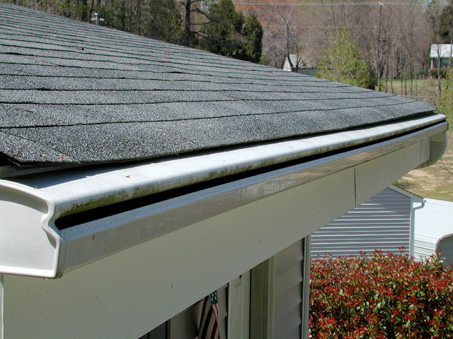 Uncle Skeeter's Gutter CleaningImages